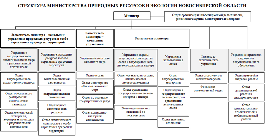 Схема структуры министерства природных ресурсов и экологии рф