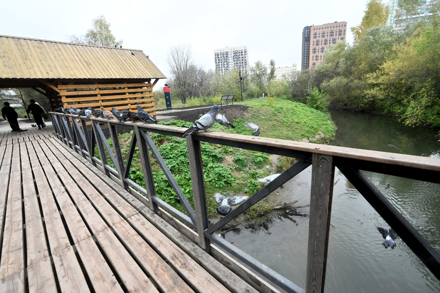 В Новосибирске открылся первый в России заливной ландшафтный парк «Каменка»