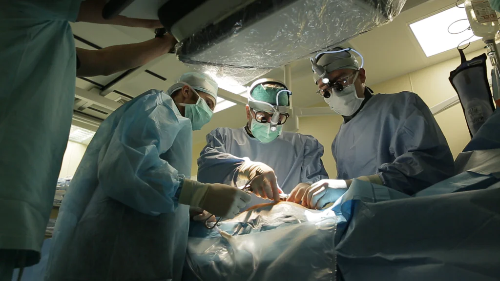 «Зеленая долина» может получить второй шанс