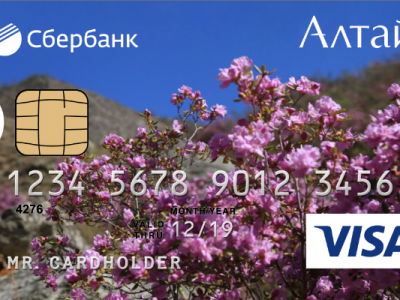 Сбербанк выпустил более 12 тысяч карт туриста Алтая