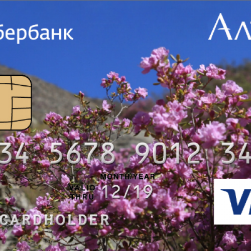 Сбербанк выпустил более 12 тысяч карт туриста Алтая