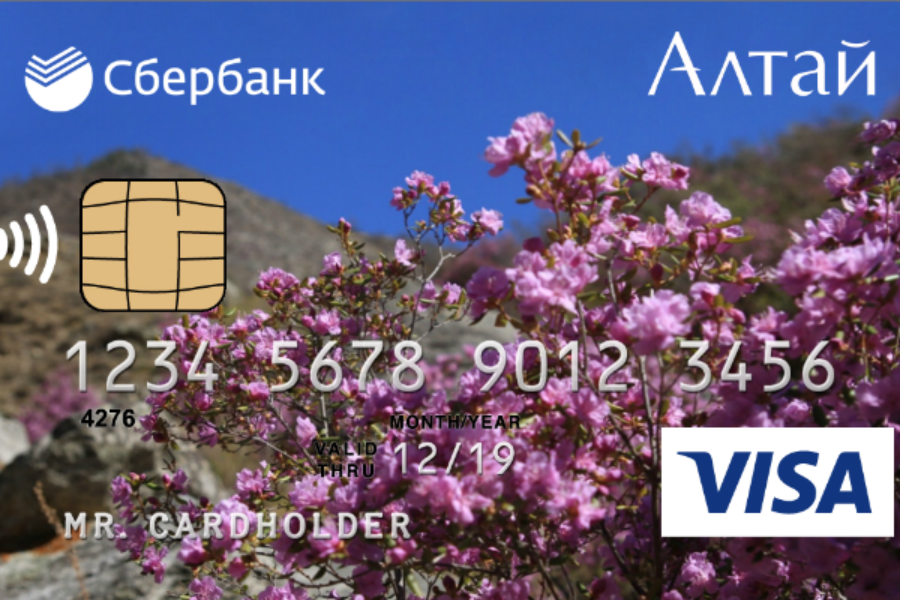 Сбербанк выпустил более 12 тысяч карт туриста Алтая