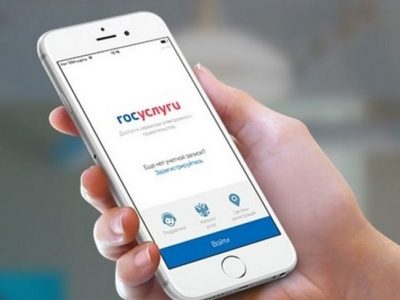 В 2018 году число сибирских пользователей портала Госуслуг превысило 8,7 миллионов