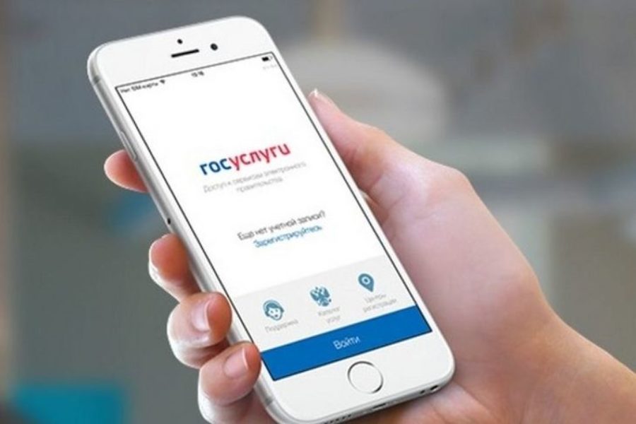 В 2018 году число сибирских пользователей портала Госуслуг превысило 8,7 миллионов