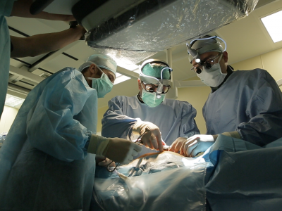 Сибирские ученые разработали биопротез клапана для детских кардиохирургии