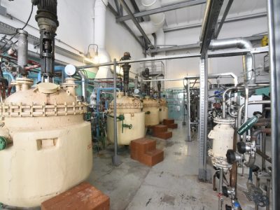 «Сиббиофарм» вложил в проект по ксантану 90 млн рублей