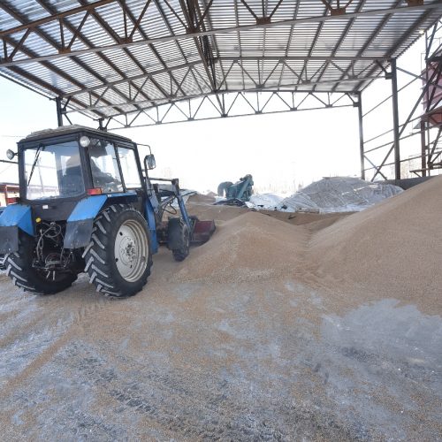 Новосибирская область увеличила экспорт зерна