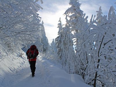 Новосибирск впервые вошел в топ-20 городов, которые интересовали иностранцев зимой