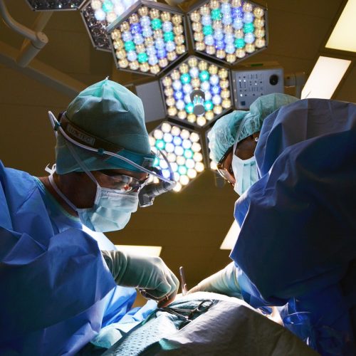 В Новосибирске сократилось количество клиник пластической хирургии