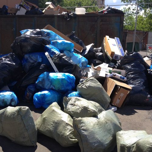 «Нужно признать неготовность Новосибирской области к «мусорной» реформе»