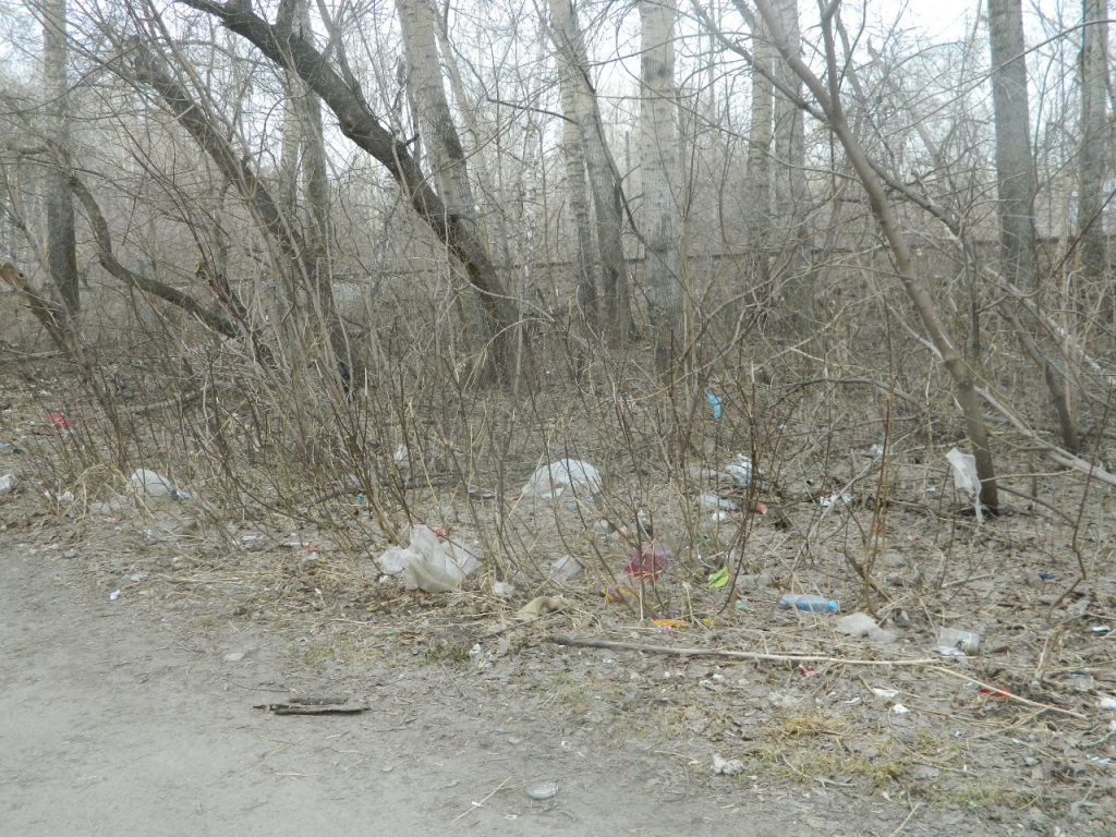 В Новосибирской области в тени находятся около 40% рынка утилизации ТКО