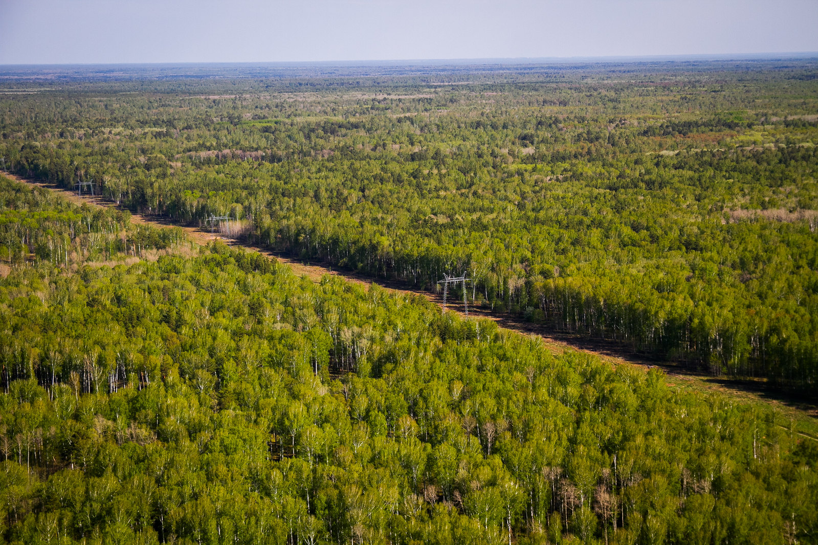 Земли лесного фонда Новосибирска