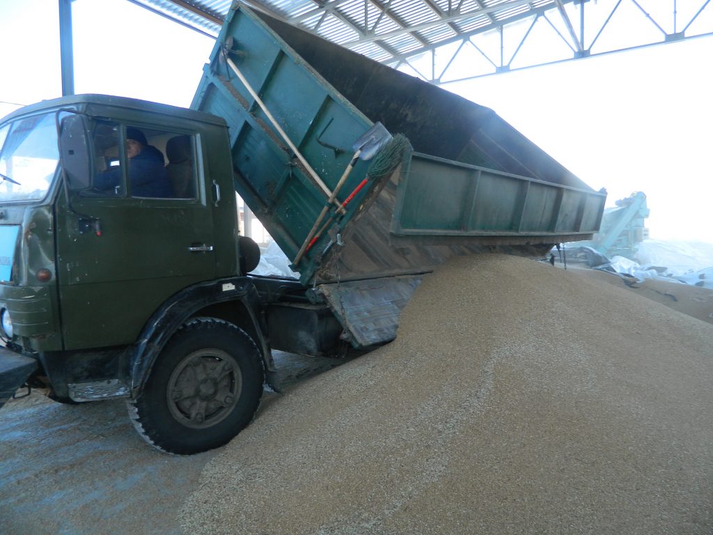 Более полутора тысяч вагонов зерна вывезено за пределы области