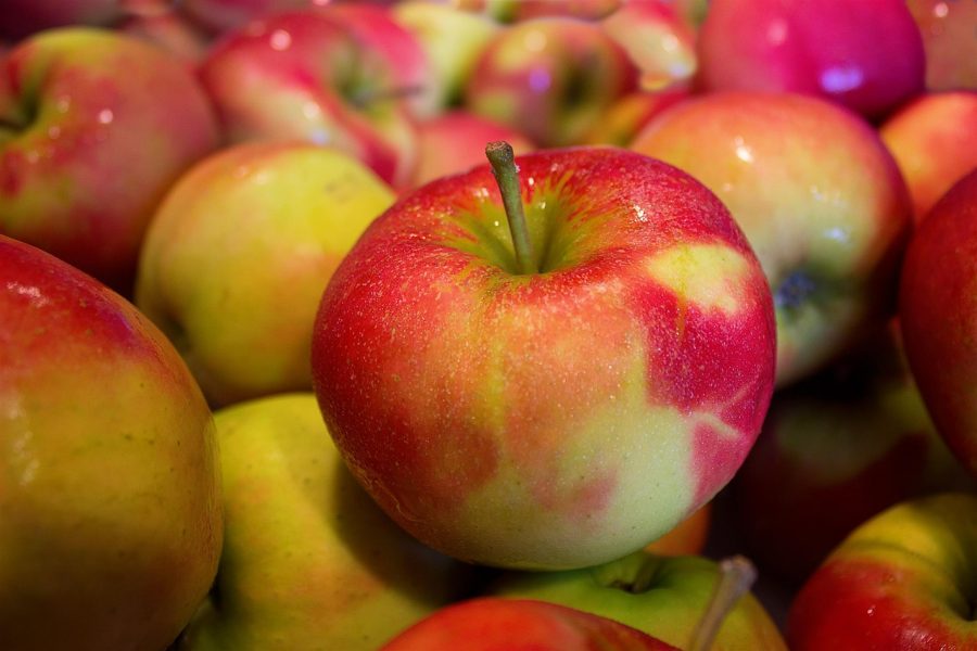 В Новосибирске уничтожили очередные 19 тонн санкционных яблок из Польши