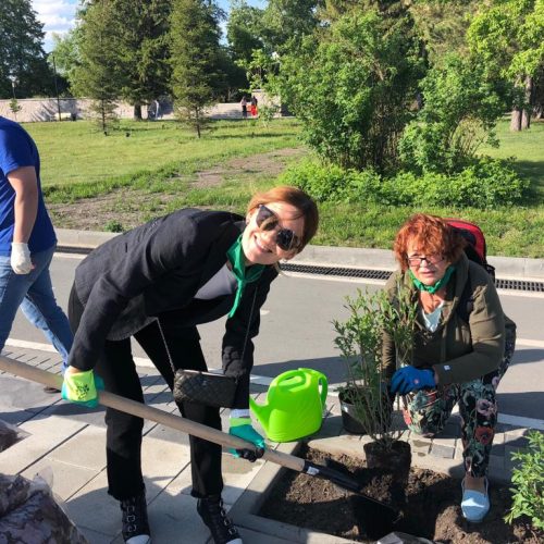 Новосибирские врачи высадили деревья на Михайловской набережной