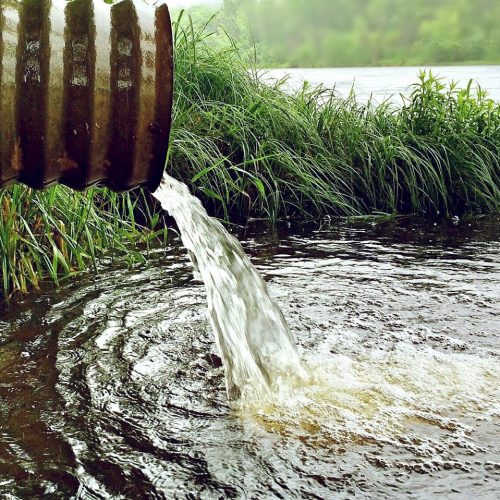 В Новосибирске выясняют причину замора рыбы в реке Тула