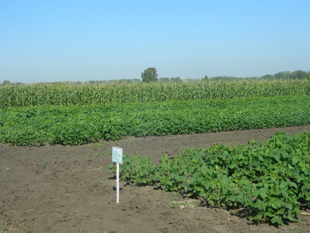 Предпринимателей подталкивают к экспорту