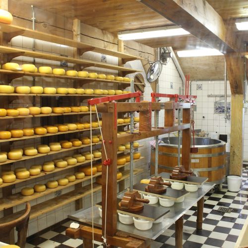 В Новосибирске резко выросло производство сыра, сухого молока и хлеба