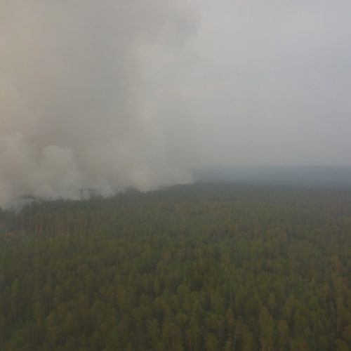 Ущерб государству от красноярских пожаров может превысить 2 млрд рублей