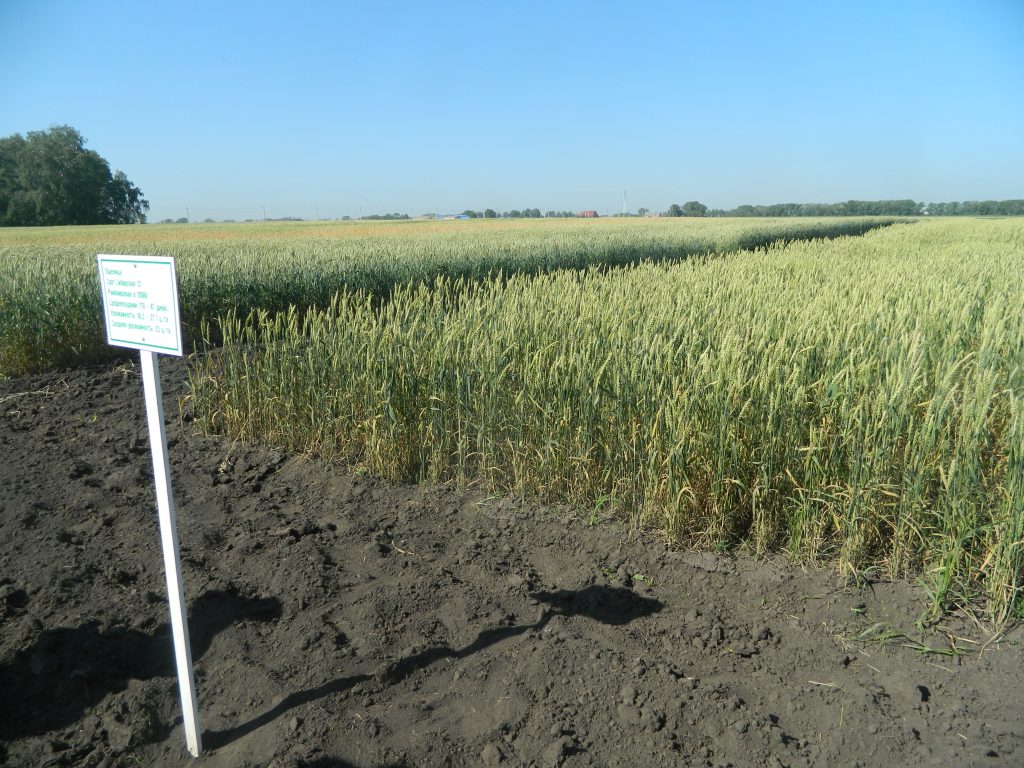 Уборочная кампания стартовала