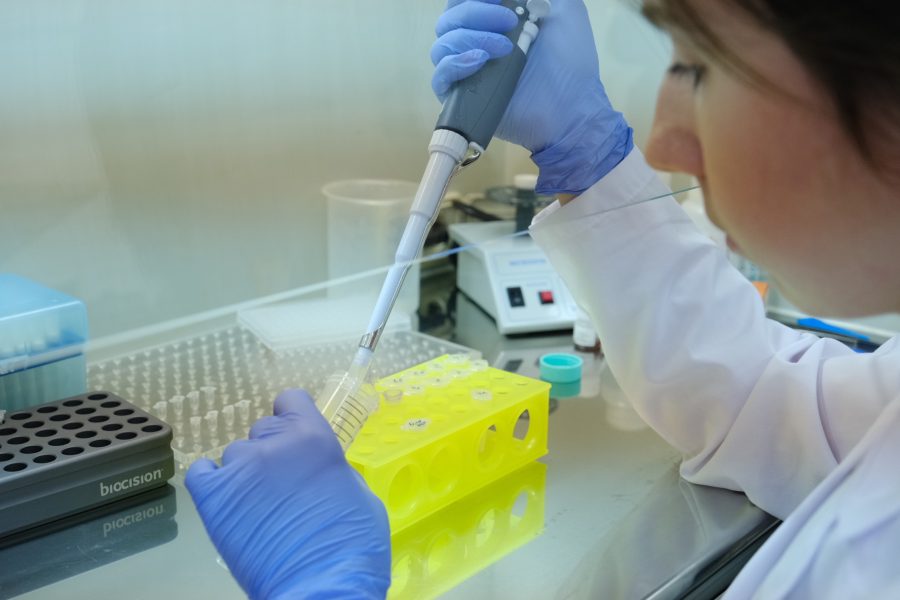 «Вектор» начал производство вакцины от лихорадки Эбола