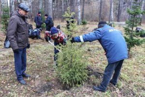 АО «РЭС» приняло участие в экологической акции «Зеленая среда»