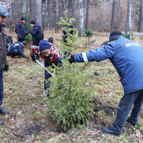 АО «РЭС» приняло участие в экологической акции «Зеленая среда»