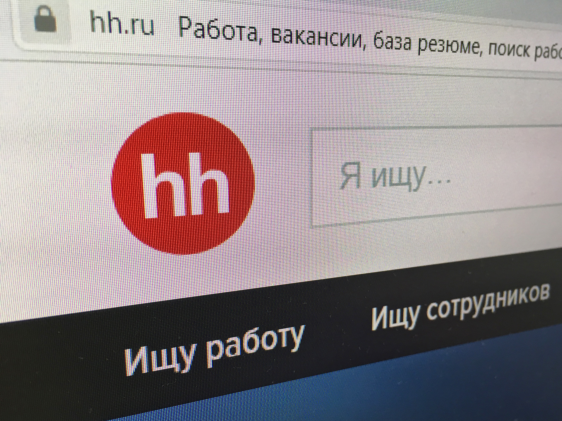 Почти 16 тысяч жителей Новосибирской области начали год с поиска новой  работы - Infopro54 - Новости Новосибирска. Новости Сибири