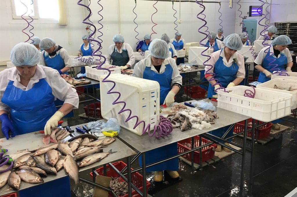 Первая партия мороженного карася экспортирована из Новосибирской области