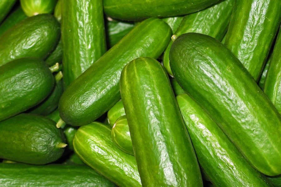 cucumbers