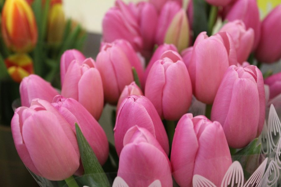 В Новосибирске на 8 марта были популярны крупные букеты с тюльпанами