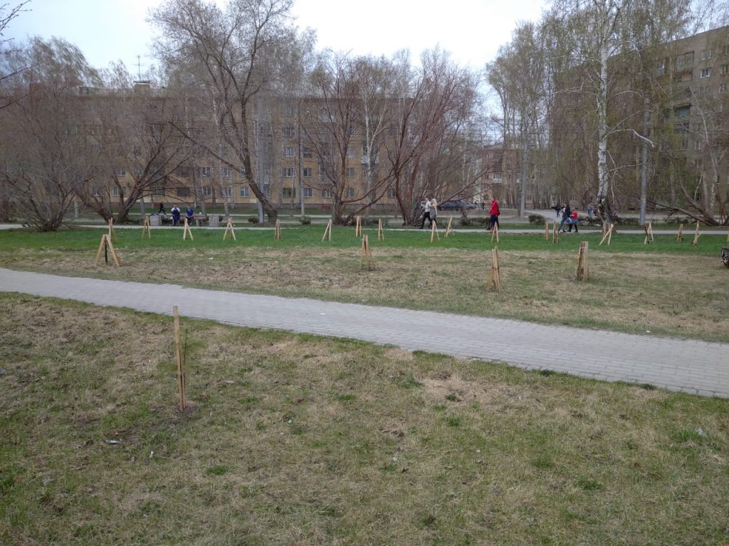 Зеленых зон в Новосибирске официально станет больше