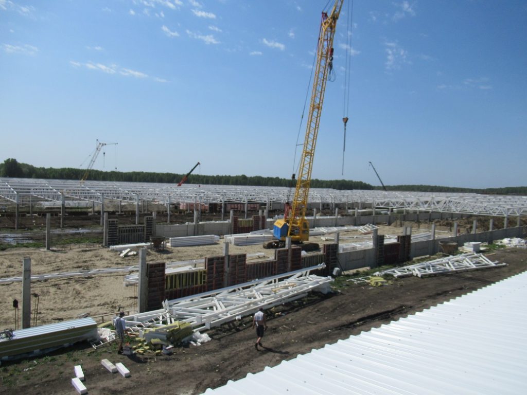 АО «Кудряшовское» завершает строительство третьей очереди свинокомплекса