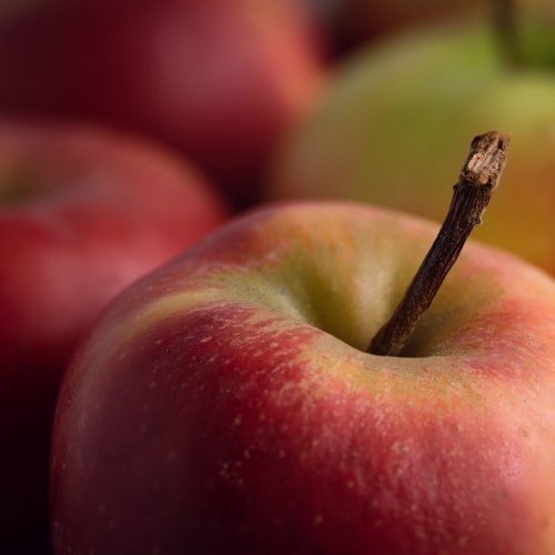 За две недели августа в Новосибирскую область завезли почти 260 тонн яблок