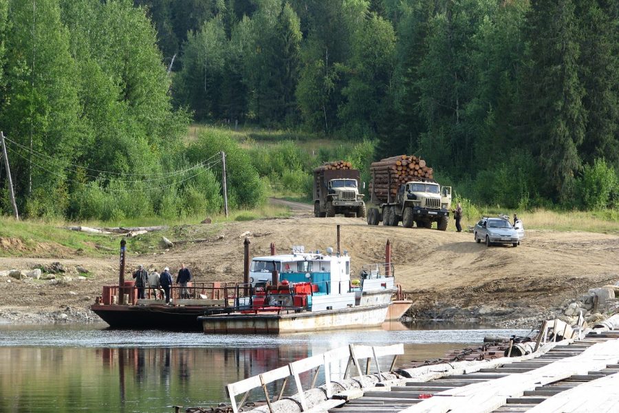 Объемы экспорта сибирского леса за рубеж сокращаются