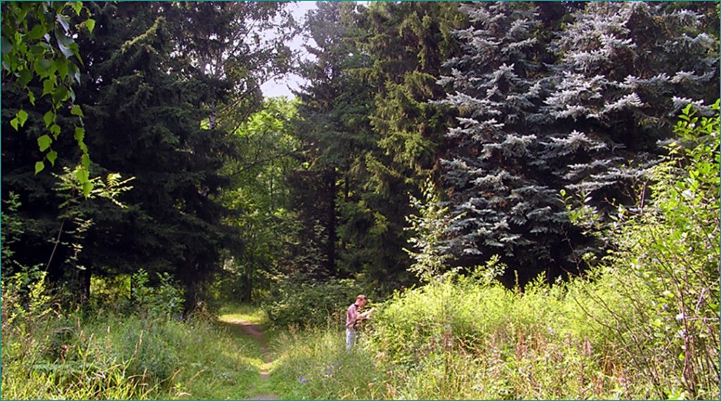 Вход в дендропарк останется бесплатным