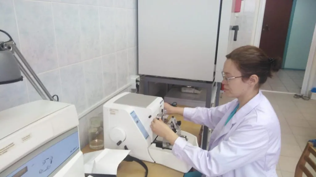 Новосибирский АгроНОЦ готовят к конкурсу