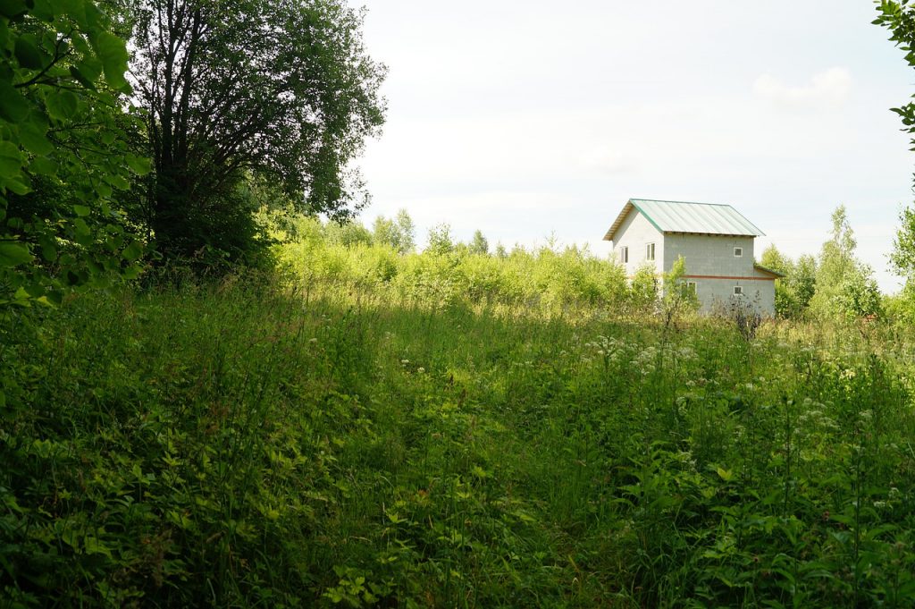 «Дачной амнистией» воспользовались почти 186 тысяч новосибирцев