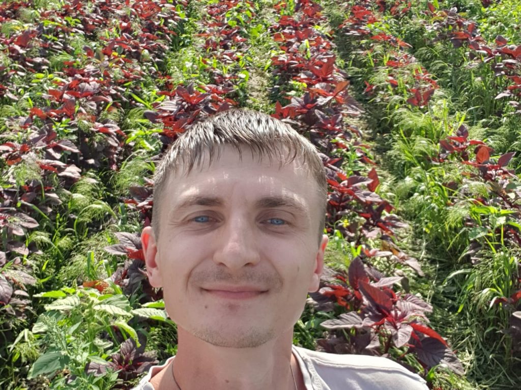 Новосибирский предприниматель планирует производить пектин из амаранта