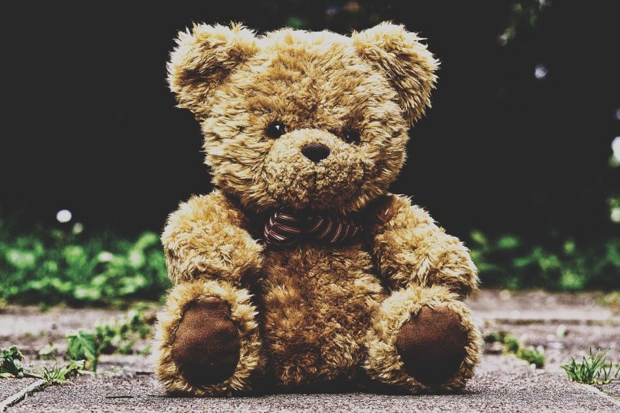 teddy-bear