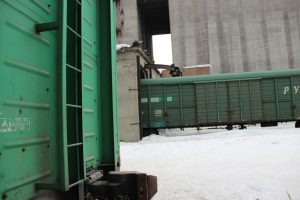 В лидеры по экспорту новосибирского зерна вышел Казахстан