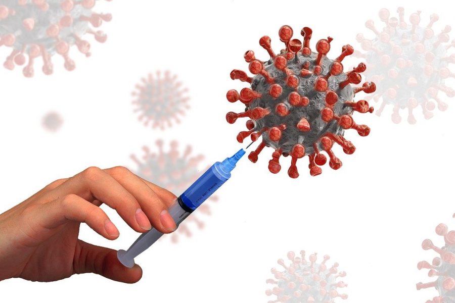 Вакцина «Ветора» в ближайшее время выйдет в гражданский оборот