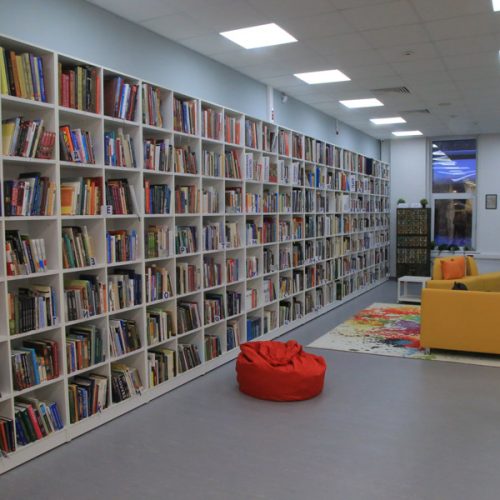 В Новосибирске появилась единственная за Уралом арт-библиотека — «Дом Да Винчи»