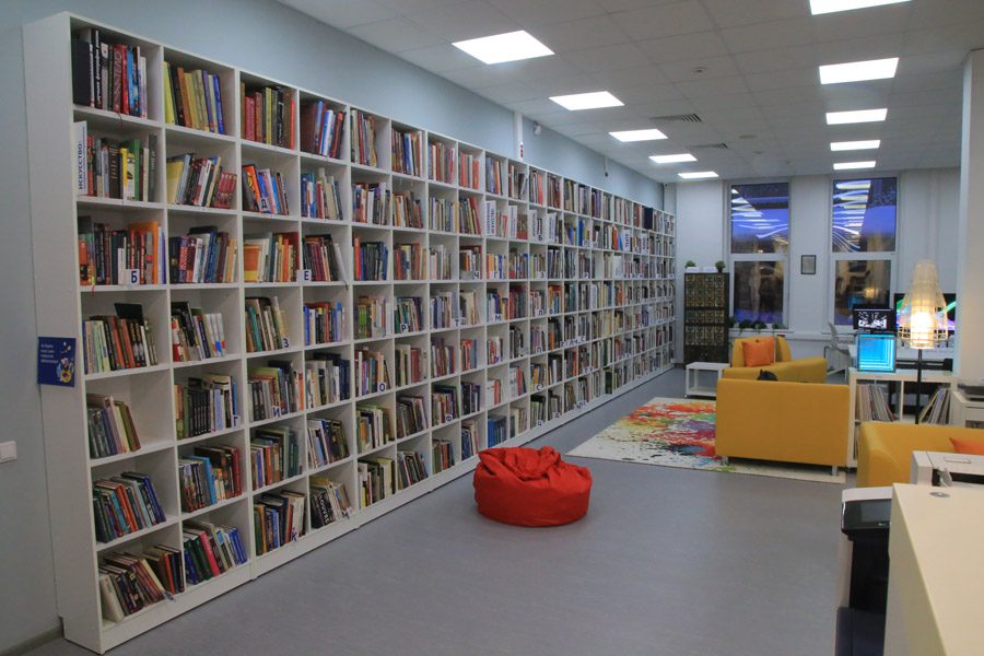 В Новосибирске появилась единственная за Уралом арт-библиотека — «Дом Да Винчи»