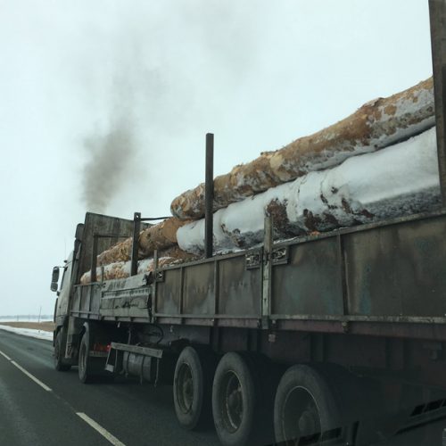 В Сибири объём экспорта «кругляка» сократился почти на четверть