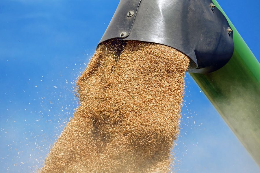 Погрузка зерна в Новосибирском регионе ЗСЖД в 2020 году увеличилась более чем на 8%