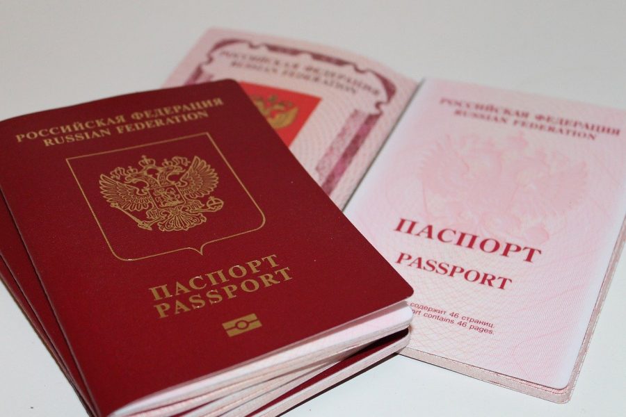 В 2020 году в Новосибирской области 10,5 тысяч иностранцев получили российское гражданство