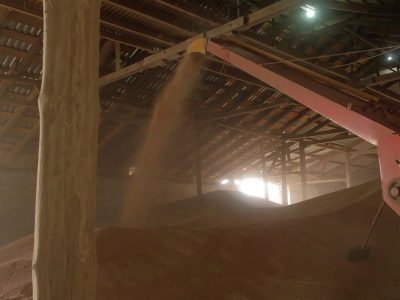 Из Новосибирская в Турцию по железной дороге отправлена первая партия пшеницы