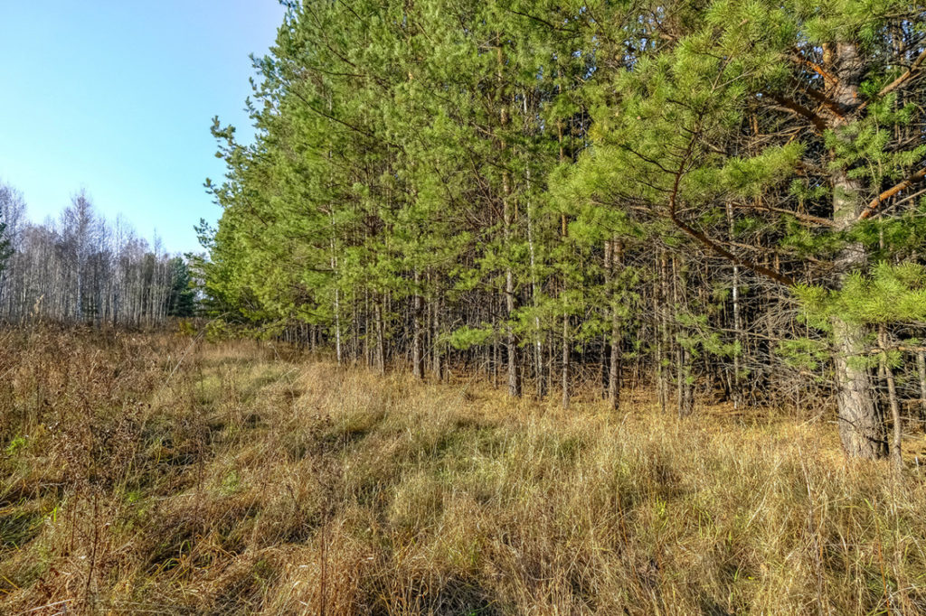 В селе Морозово выставлен на продажу земельный участок категории «премиум»