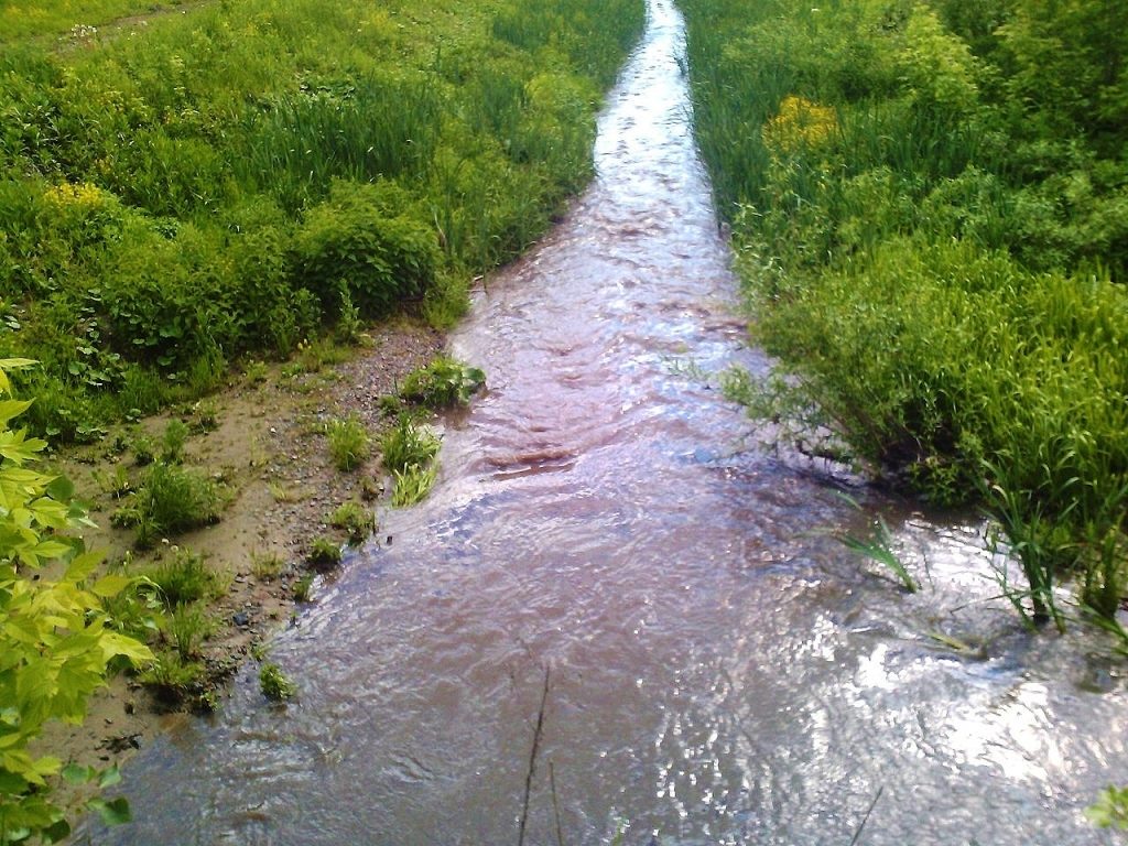 Границы парка в пойме реки Ельцовка-1 увеличат